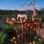 luxury-safaris-ivory-lodge