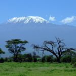 kilimanjaro1